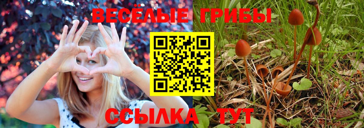Галлюциногенные грибы GOLDEN TEACHER  Вход с VPN  Железногорск 